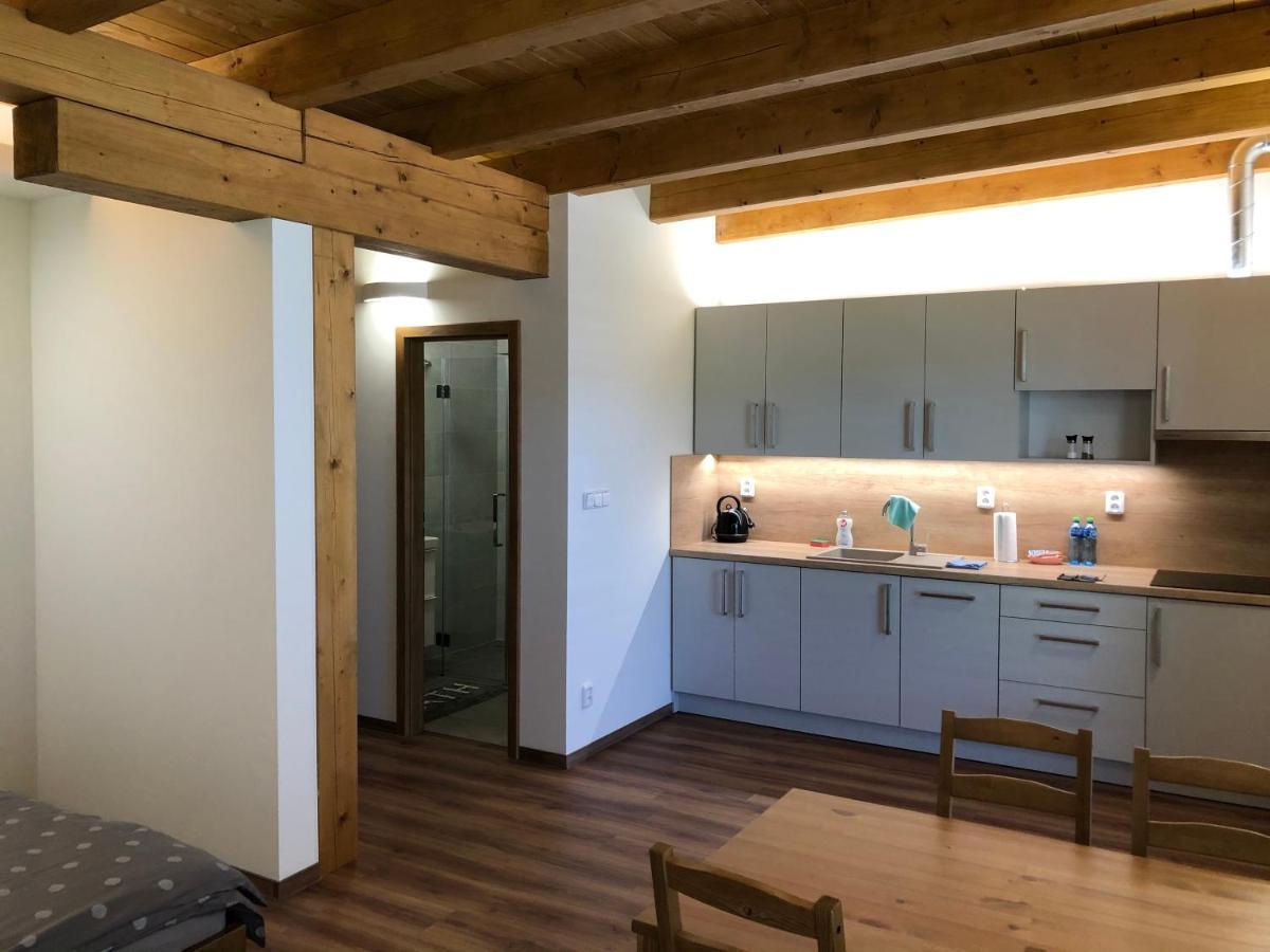 Anico Apartmany Dolni Benesov 外观 照片