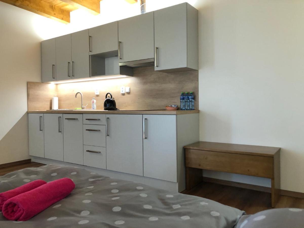Anico Apartmany Dolni Benesov 外观 照片