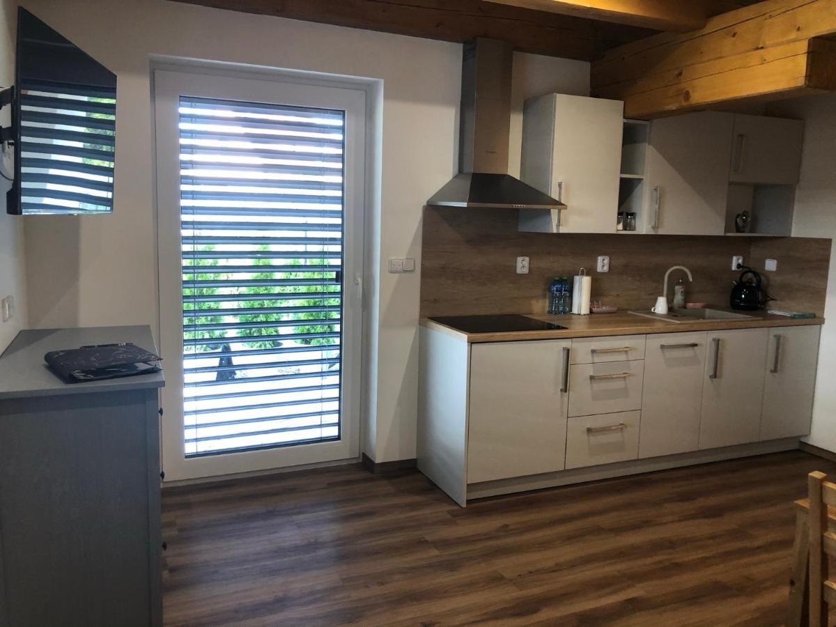 Anico Apartmany Dolni Benesov 外观 照片