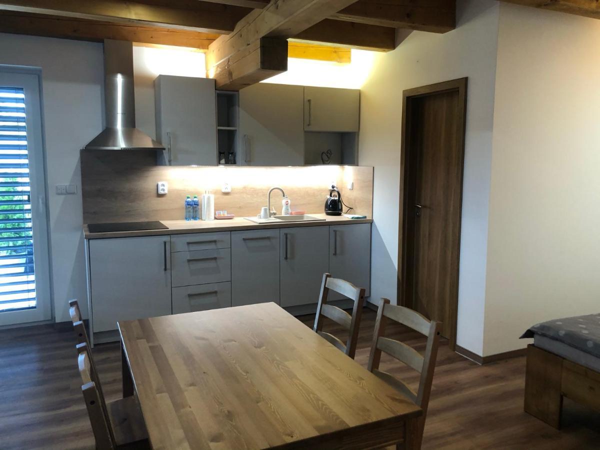 Anico Apartmany Dolni Benesov 外观 照片