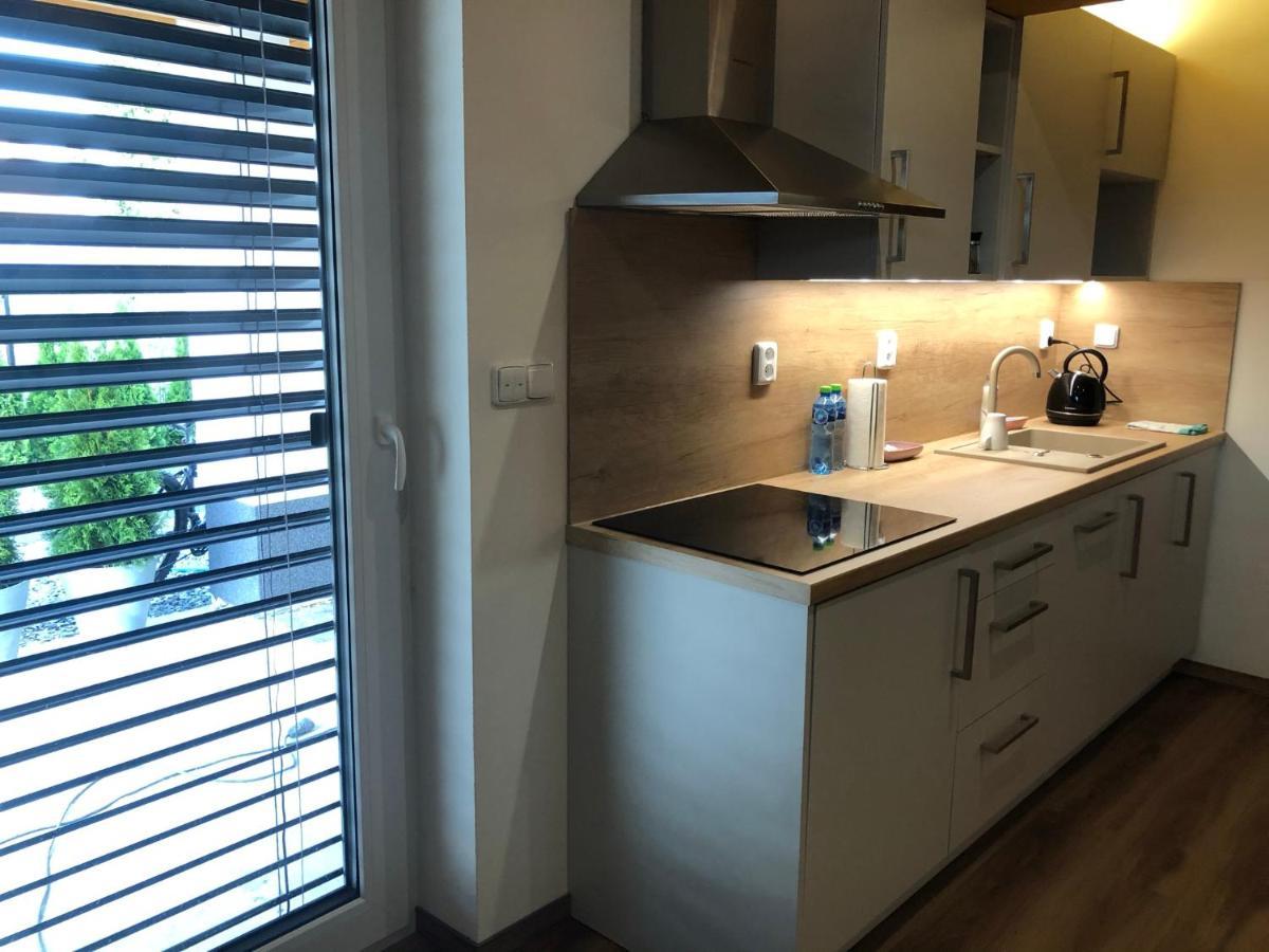 Anico Apartmany Dolni Benesov 外观 照片
