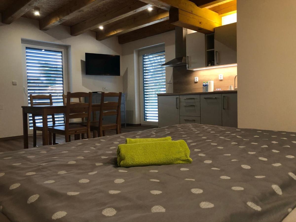 Anico Apartmany Dolni Benesov 外观 照片