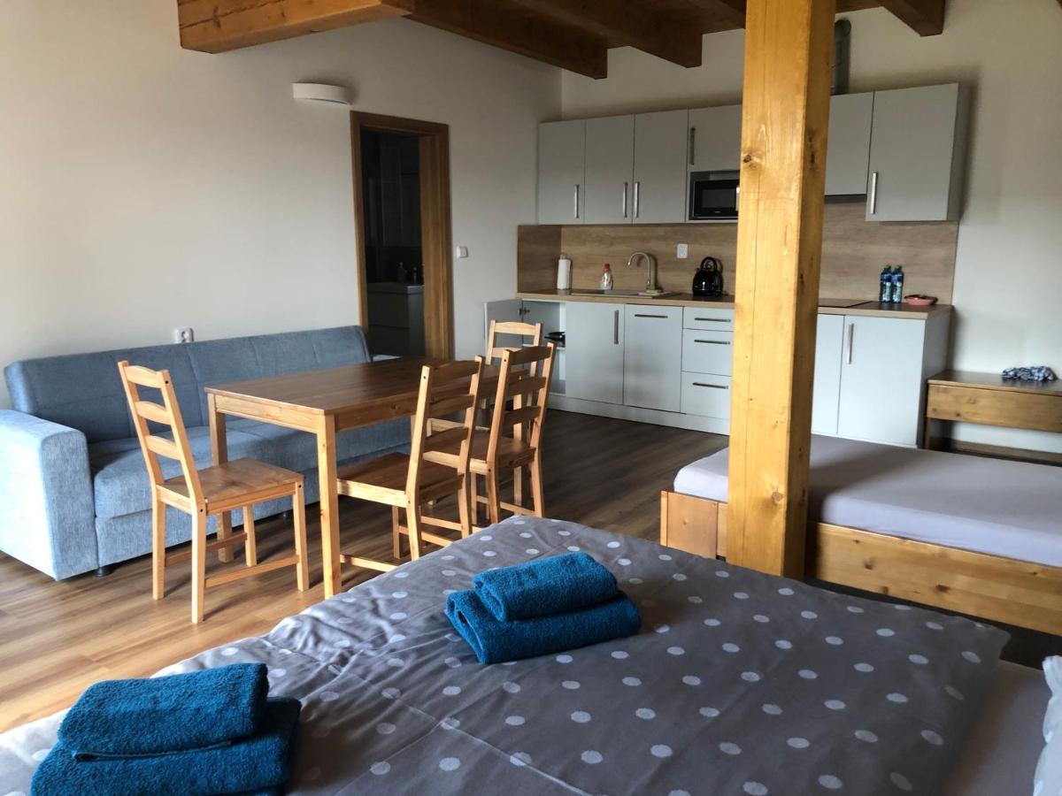 Anico Apartmany Dolni Benesov 外观 照片