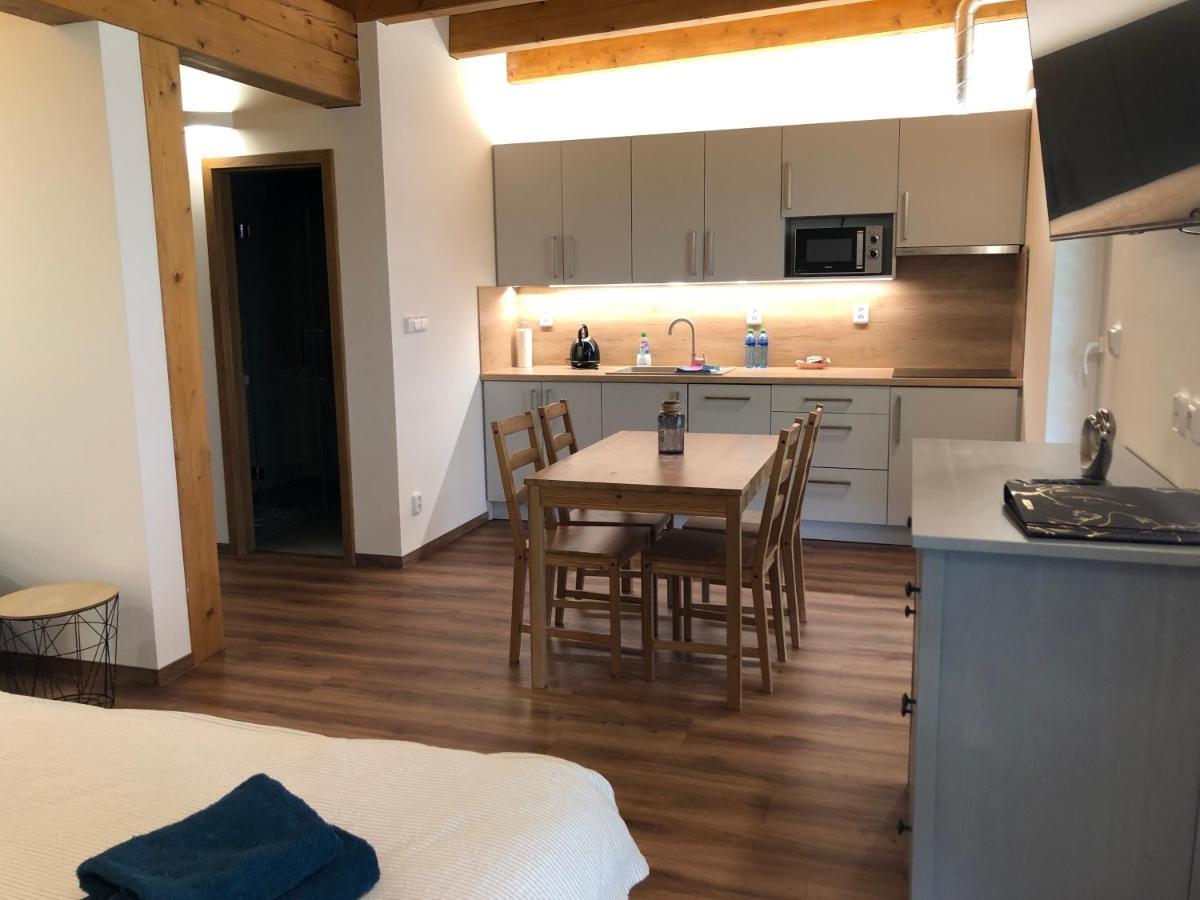 Anico Apartmany Dolni Benesov 外观 照片