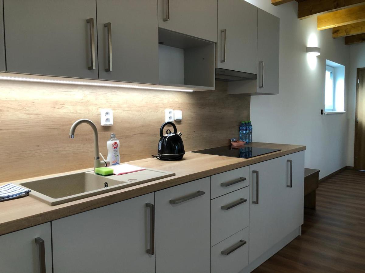 Anico Apartmany Dolni Benesov 外观 照片