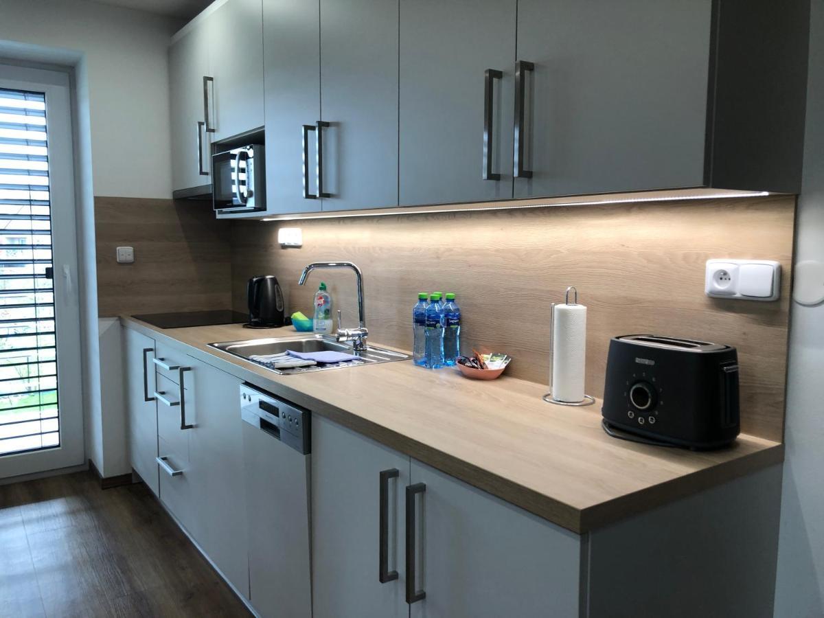 Anico Apartmany Dolni Benesov 外观 照片