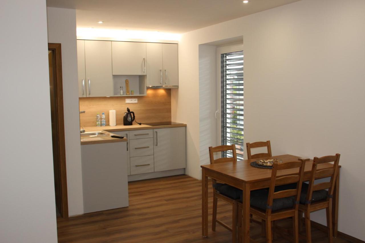 Anico Apartmany Dolni Benesov 外观 照片