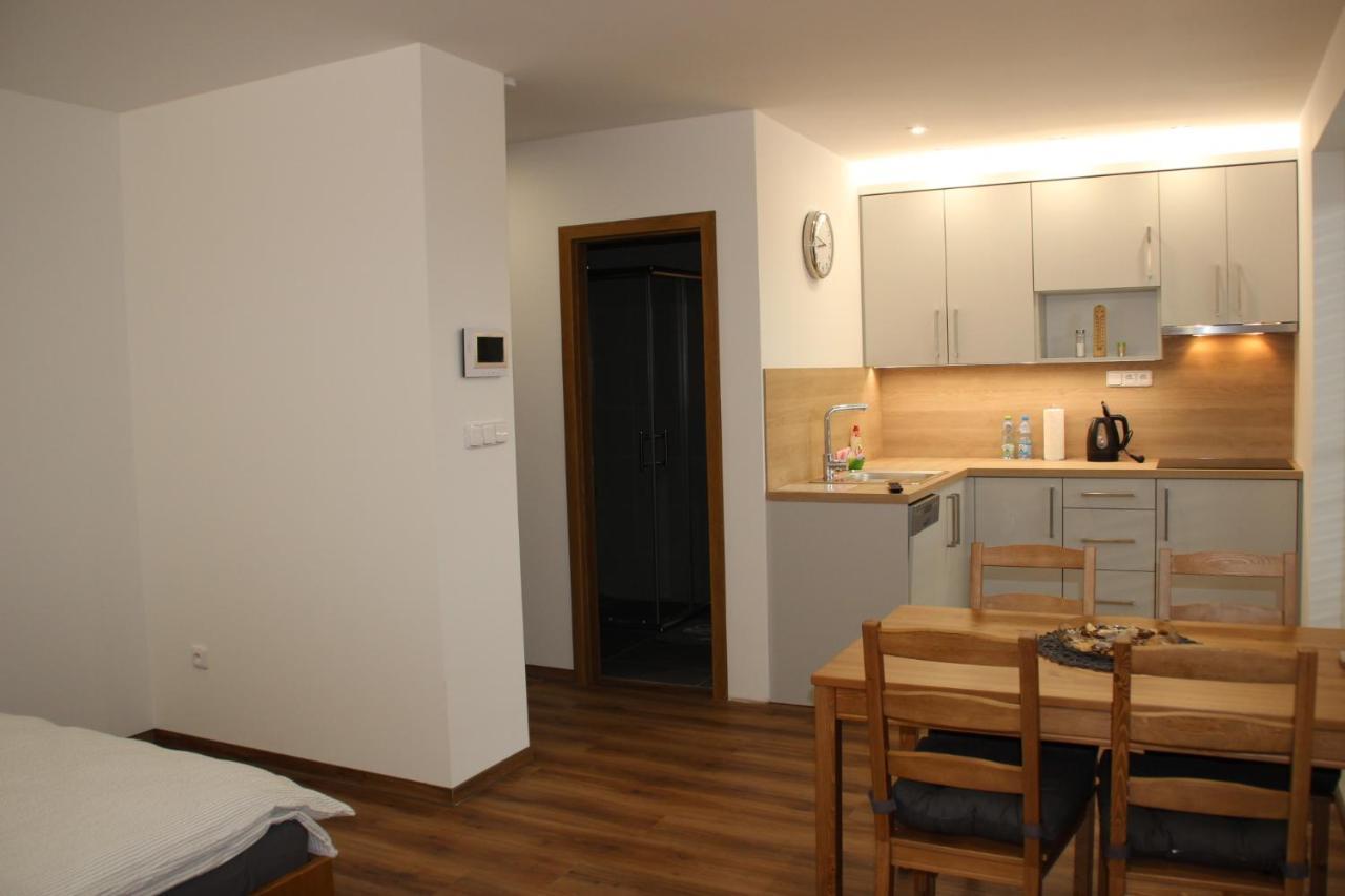 Anico Apartmany Dolni Benesov 外观 照片