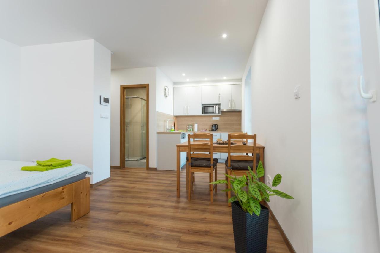 Anico Apartmany Dolni Benesov 外观 照片