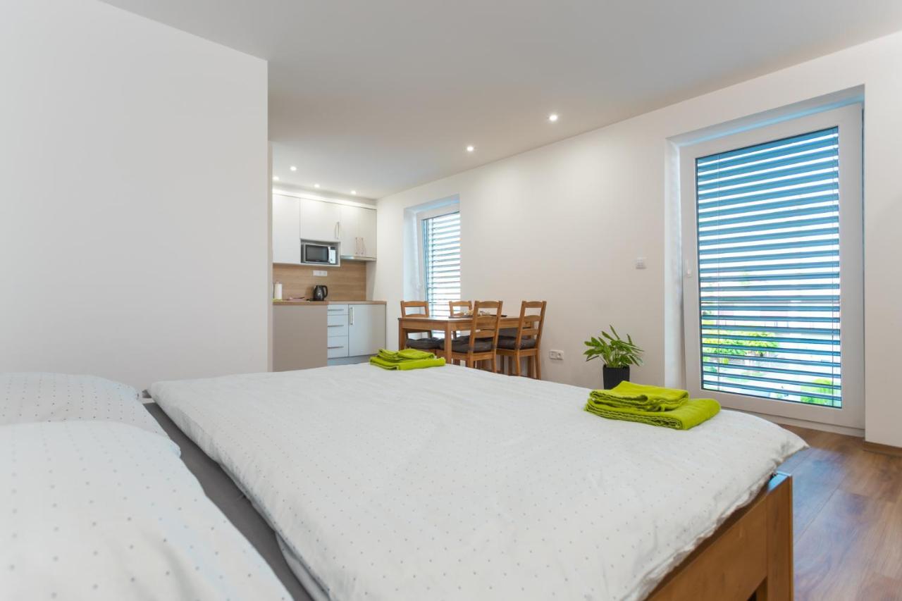Anico Apartmany Dolni Benesov 外观 照片